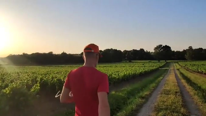 Balade dens le Vignoble